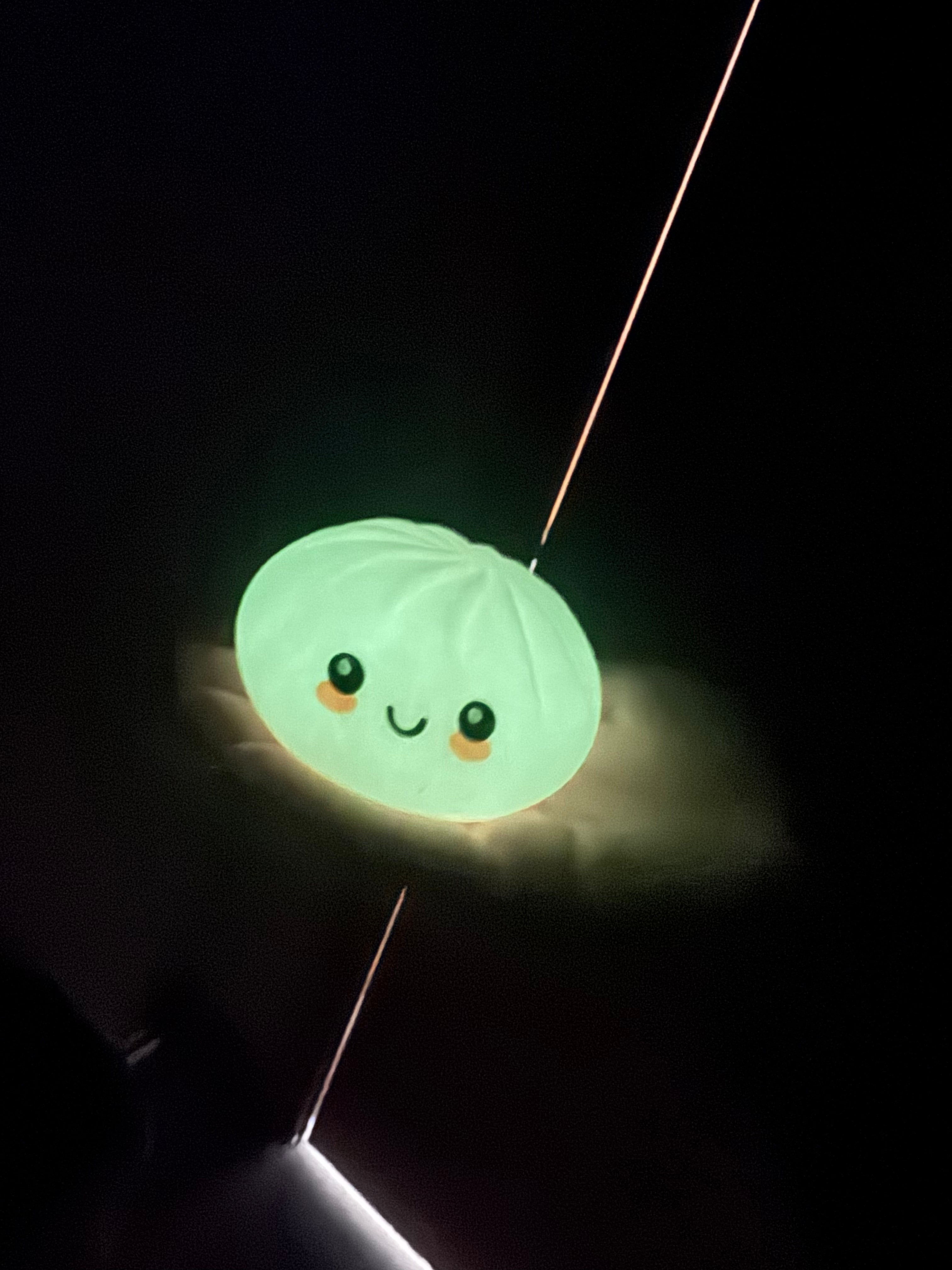 MYSTERY GLOW IN THE DARK DUMPLIN